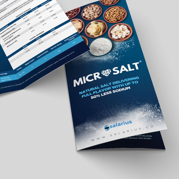 MicroSalt_Triptico2
