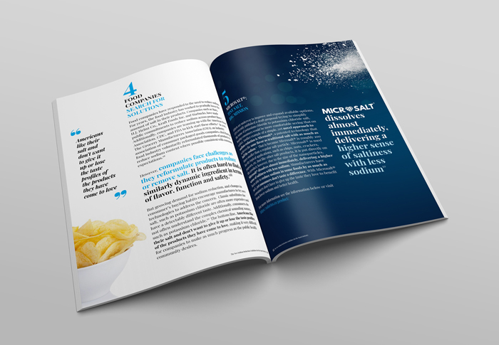 MicroSalt_Ebook_2